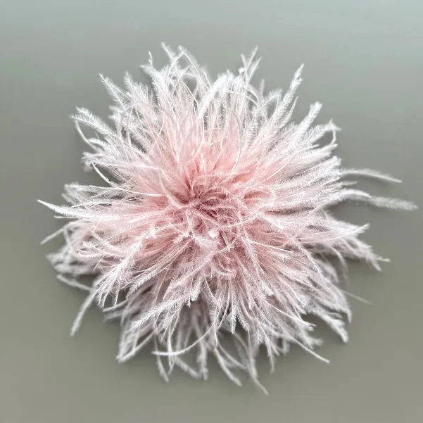 Broszka ze strusich piór pudrowy róż.